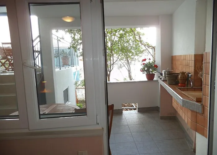 Blue View טרוגיר