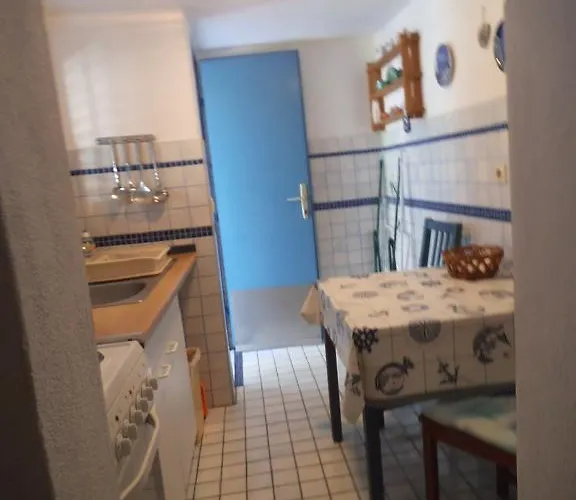 Blue View * טרוגיר