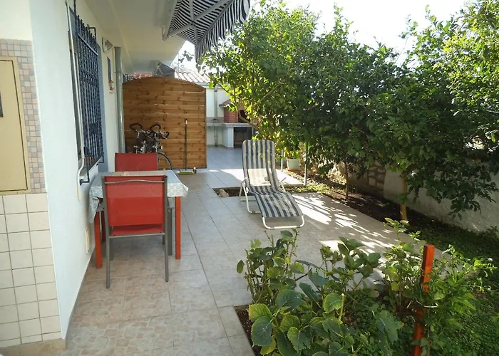 Blue View טרוגיר