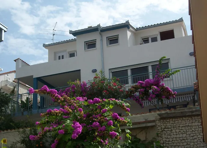 Blue View טרוגיר