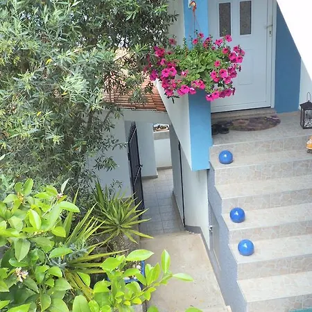 Blue View * تروغير