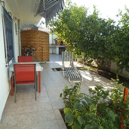 Blue View تروغير