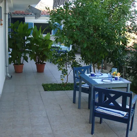 Blue View تروغير