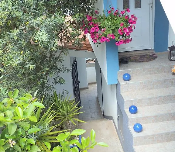 Blue View * 特罗吉尔