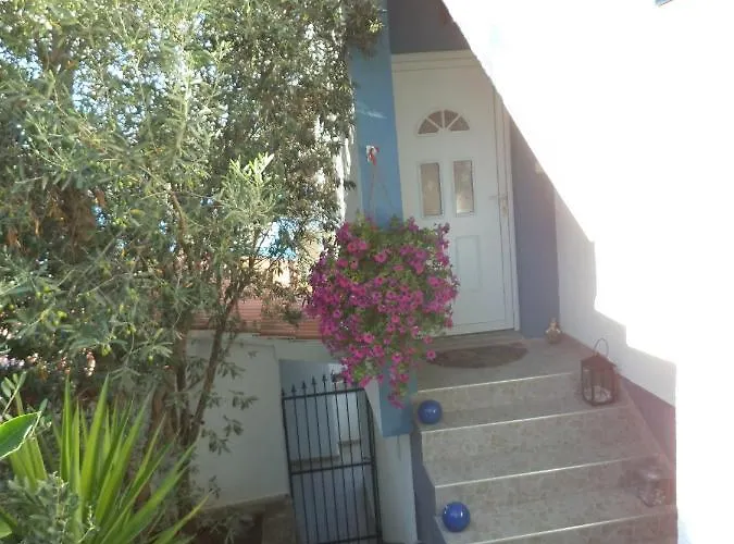 Blue View * 特罗吉尔