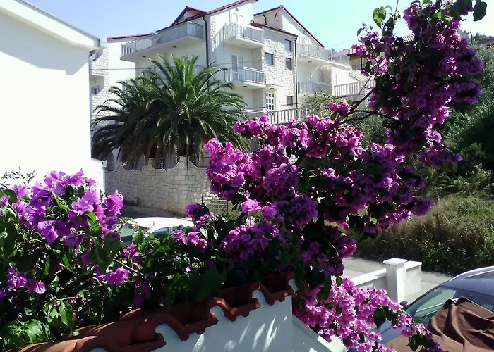 Blue View * 特罗吉尔